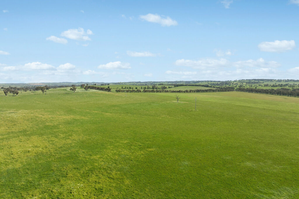 For Sale - 6294 Mitchell Highway - New Property in Molong - Real Estate by Scott Petersen