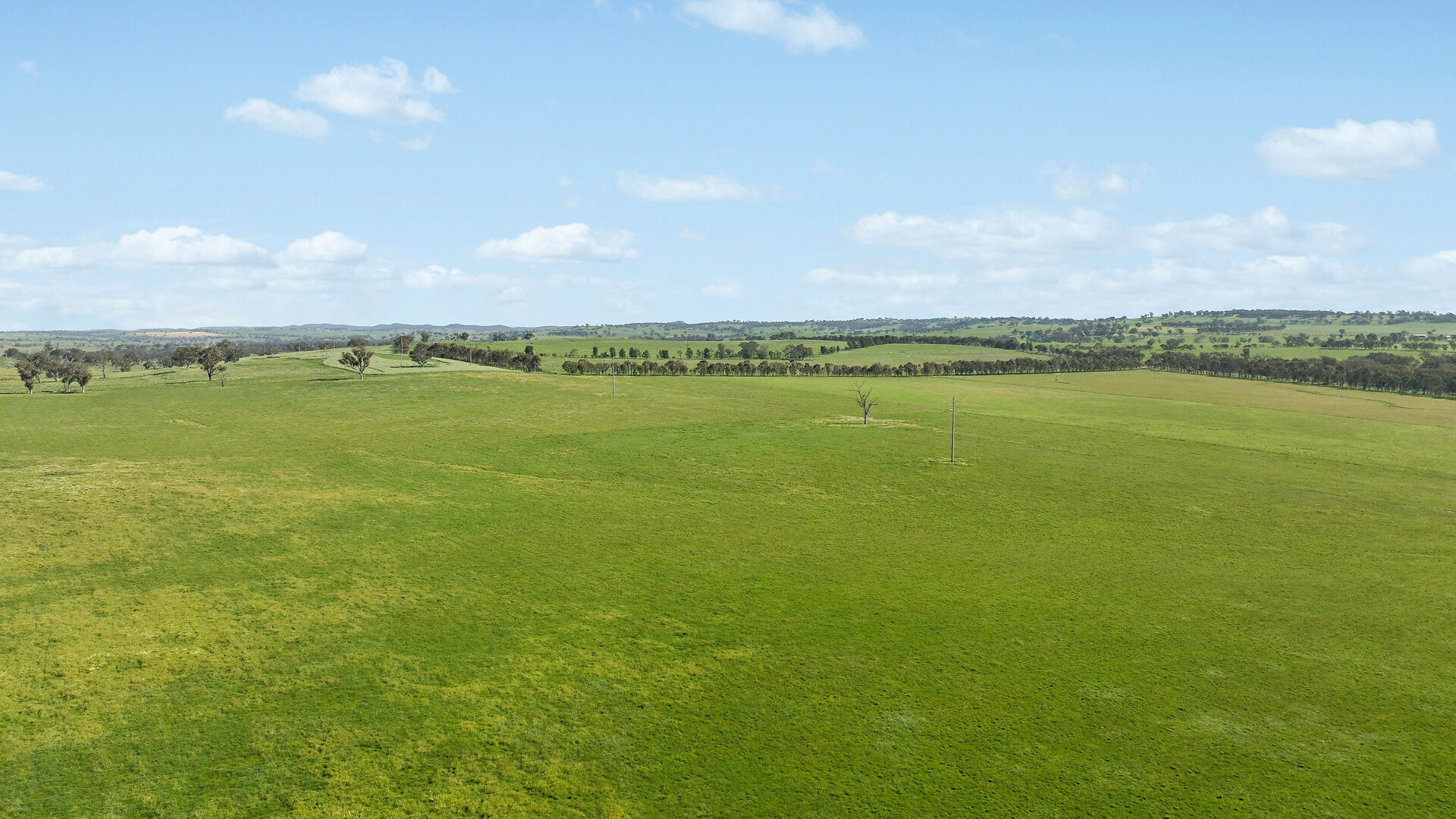 For Sale - 6294 Mitchell Highway - New Property in Molong - Real Estate by Scott Petersen