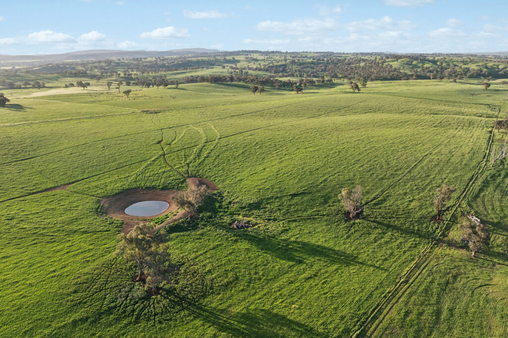 For Sale - 6294 Mitchell Highway - New Property in Molong - Real Estate by Scott Petersen