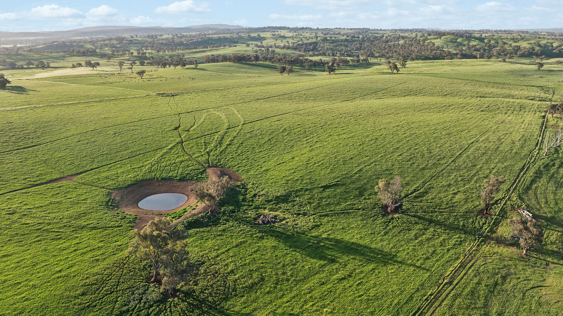 For Sale - 6294 Mitchell Highway - New Property in Molong - Real Estate by Scott Petersen
