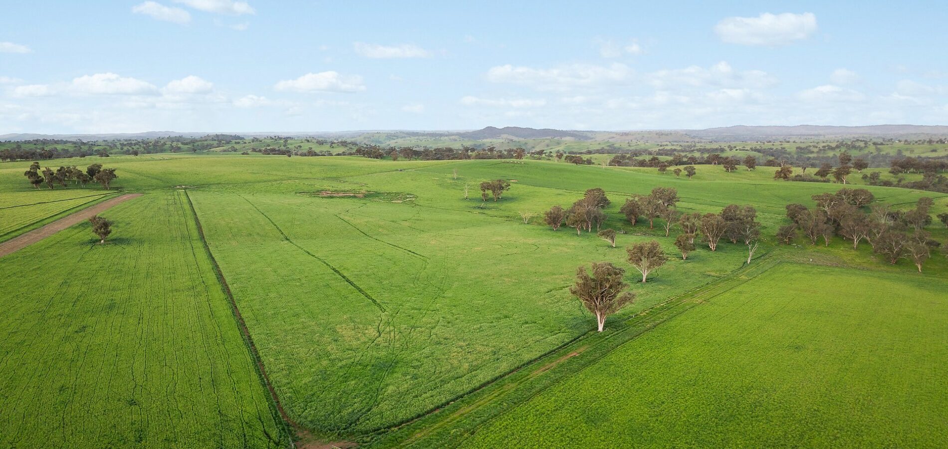 For Sale - 6294 Mitchell Highway - New Property in Molong - Real Estate by Scott Petersen