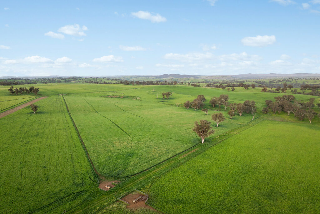 For Sale - 6294 Mitchell Highway - New Property in Molong - Real Estate by Scott Petersen