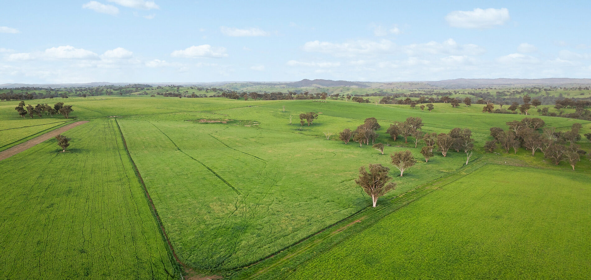 For Sale - 6294 Mitchell Highway - New Property in Molong - Real Estate by Scott Petersen