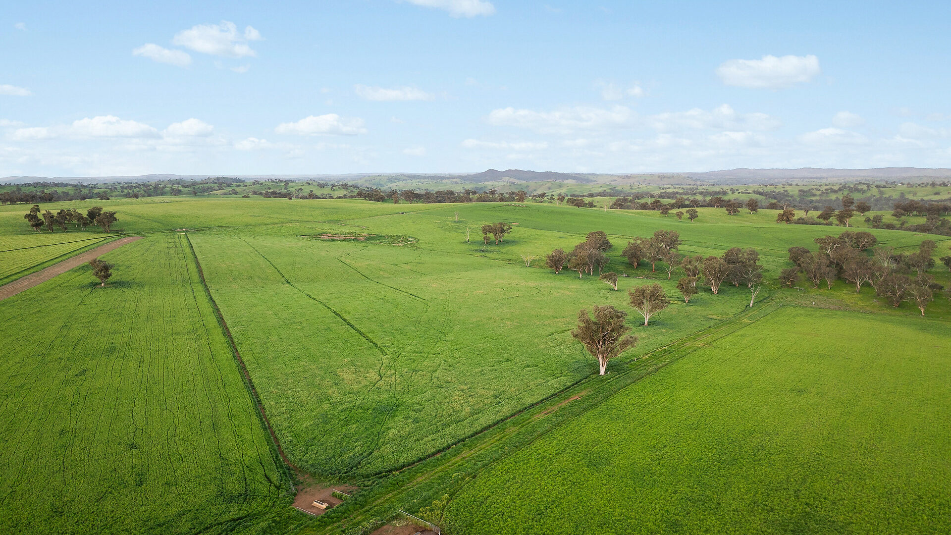 For Sale - 6294 Mitchell Highway - New Property in Molong - Real Estate by Scott Petersen
