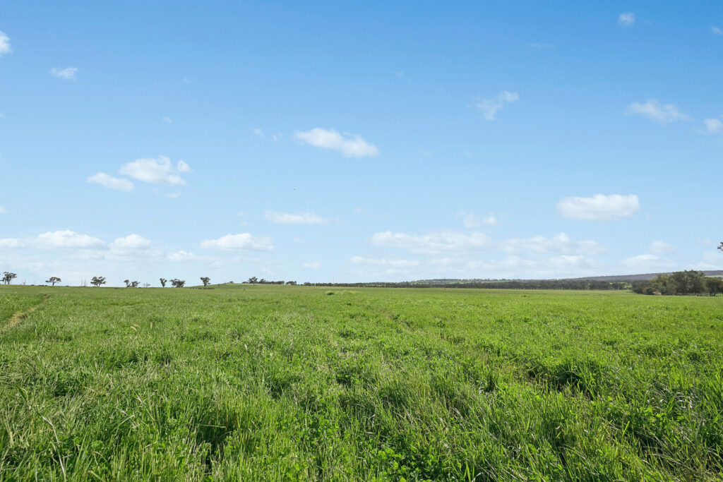 For Sale - 6294 Mitchell Highway - New Property in Molong - Real Estate by Scott Petersen
