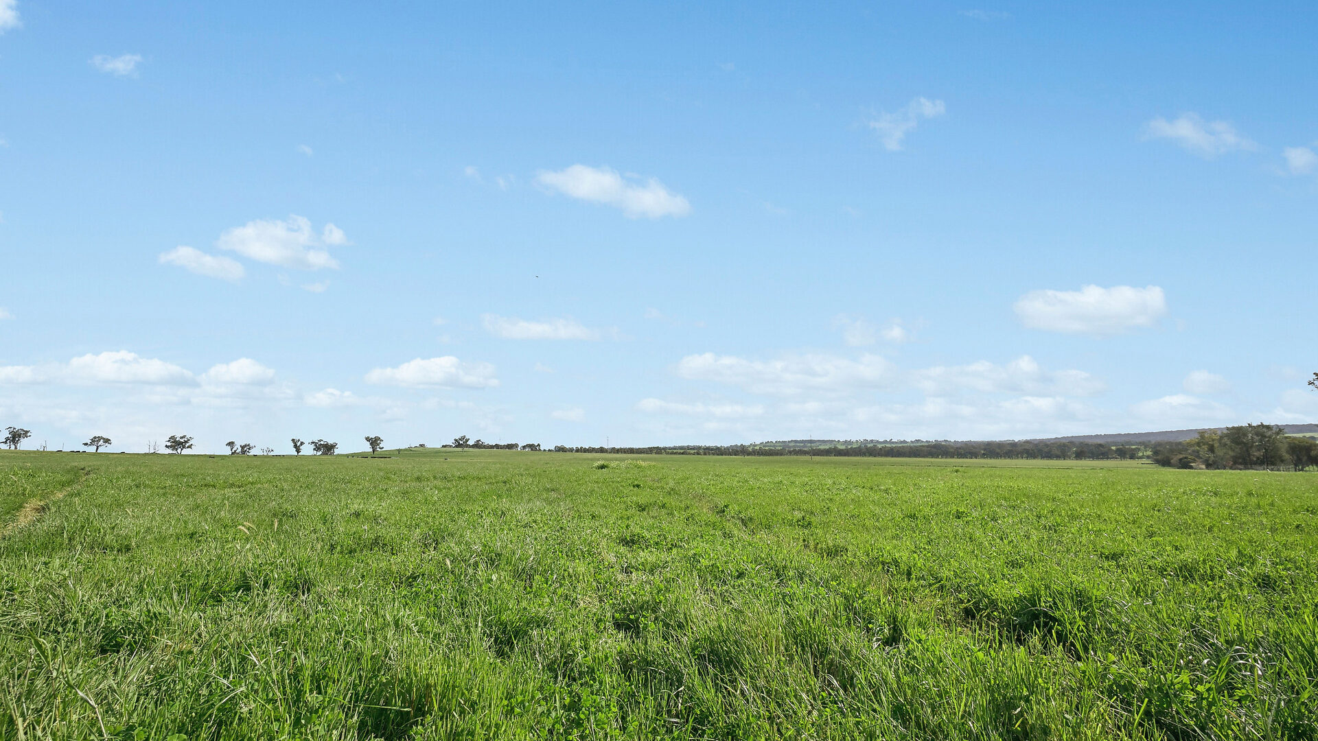 For Sale - 6294 Mitchell Highway - New Property in Molong - Real Estate by Scott Petersen