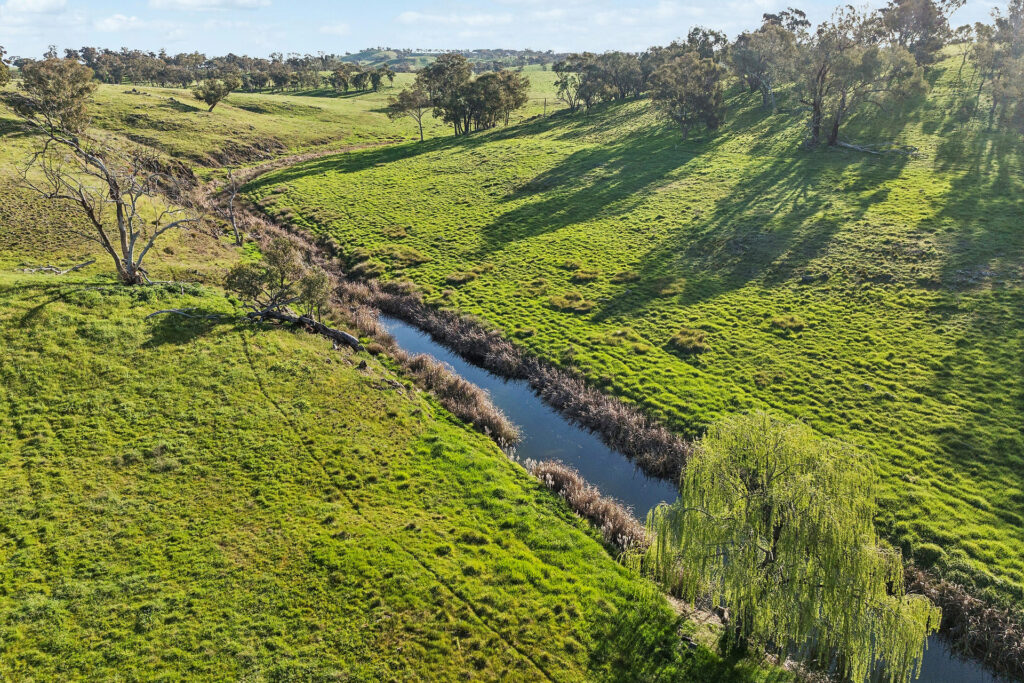 For Sale - 6294 Mitchell Highway - New Property in Molong - Real Estate by Scott Petersen