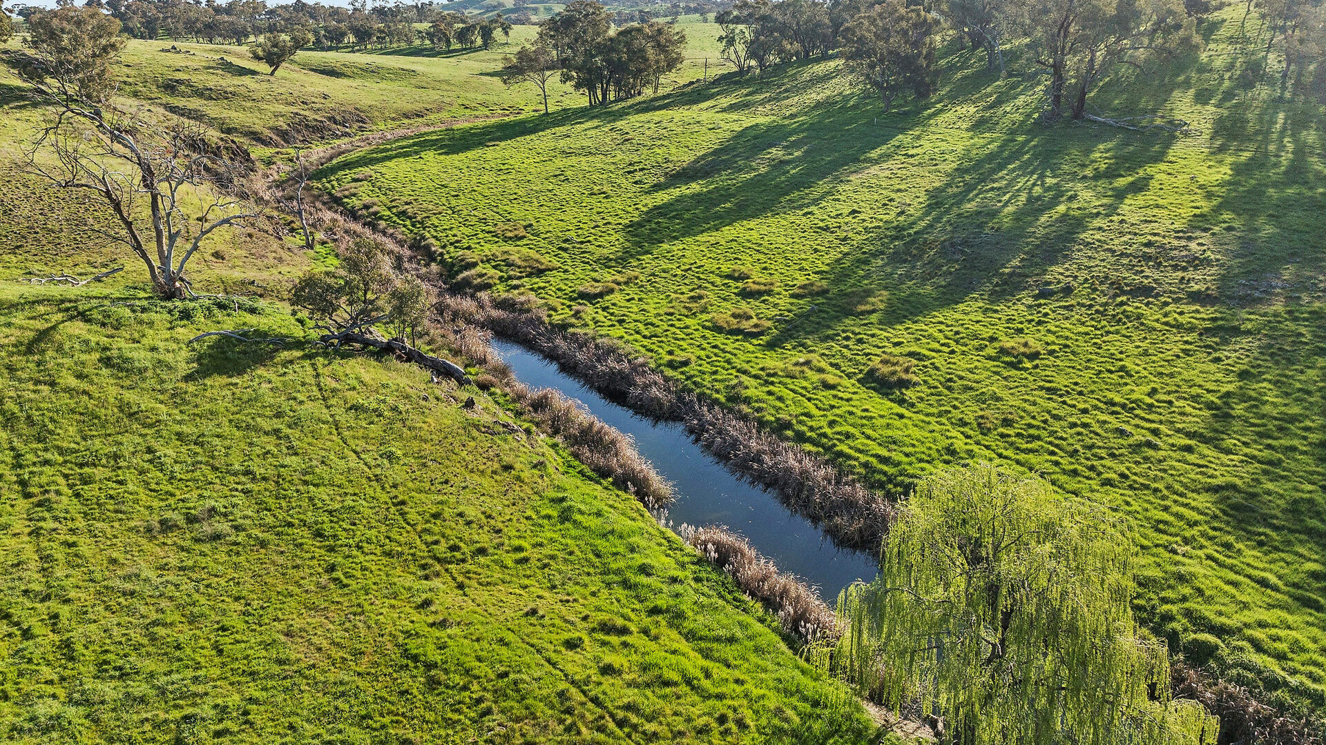 For Sale - 6294 Mitchell Highway - New Property in Molong - Real Estate by Scott Petersen