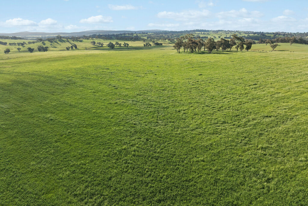 For Sale - 6294 Mitchell Highway - New Property in Molong - Real Estate by Scott Petersen