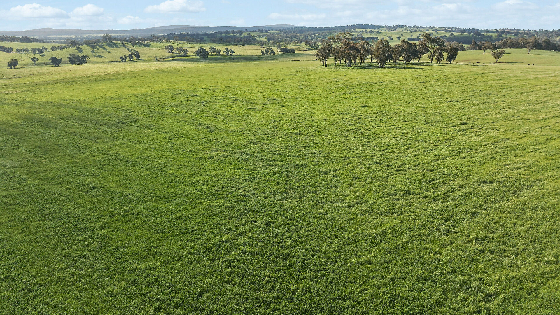 For Sale - 6294 Mitchell Highway - New Property in Molong - Real Estate by Scott Petersen