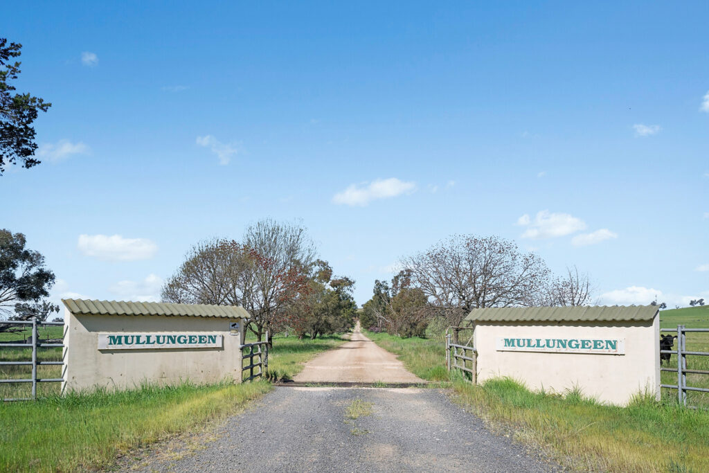 For Sale - 6294 Mitchell Highway - New Property in Molong - Real Estate by Scott Petersen