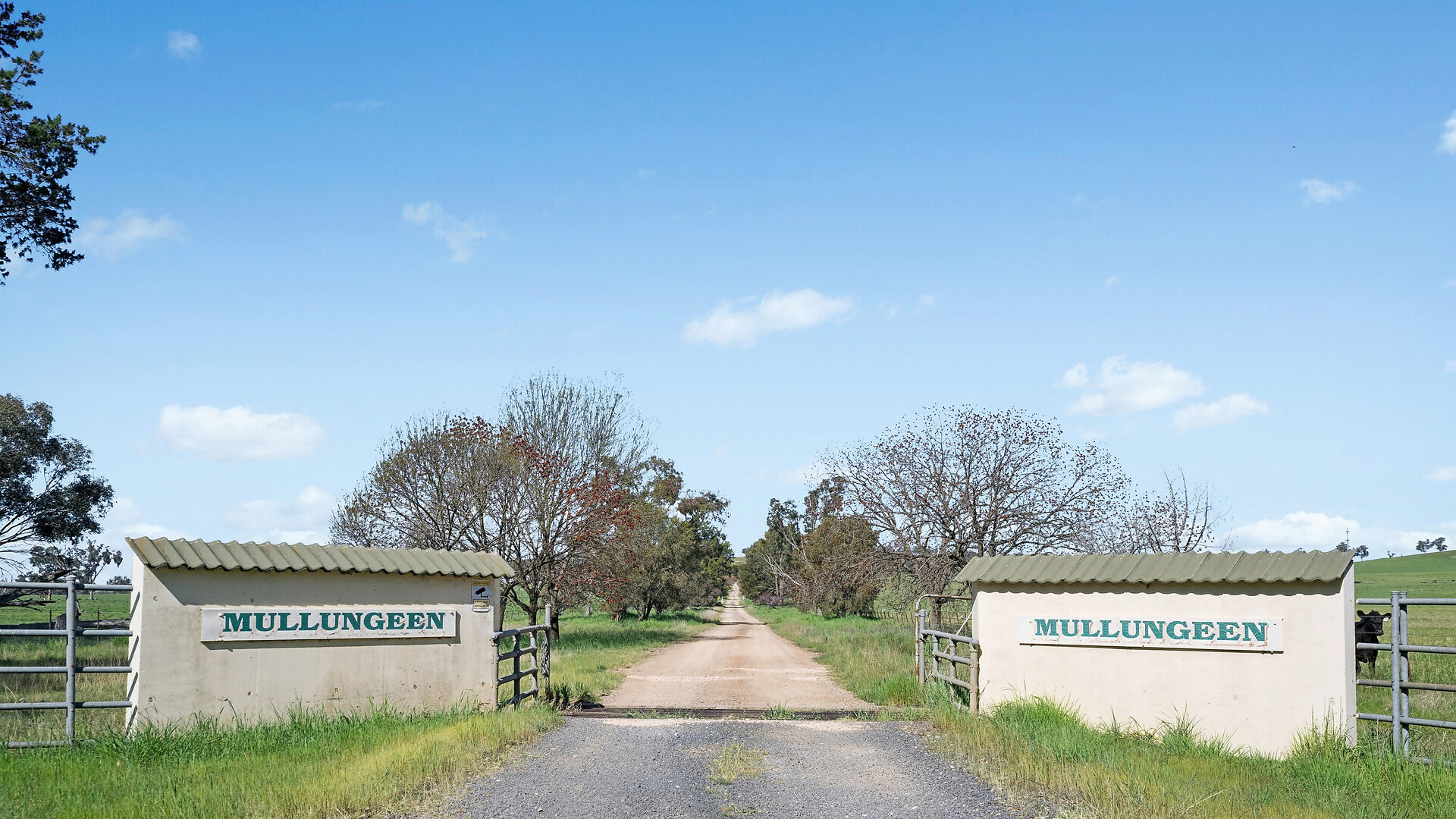 For Sale - 6294 Mitchell Highway - New Property in Molong - Real Estate by Scott Petersen
