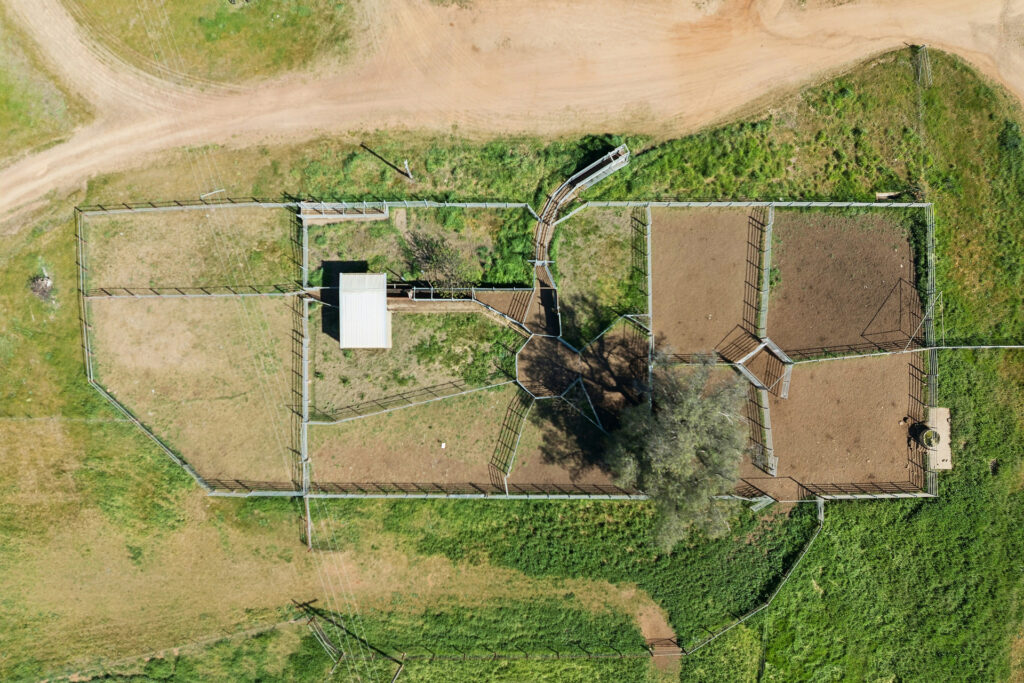 For Sale - 6294 Mitchell Highway - New Property in Molong - Real Estate by Scott Petersen