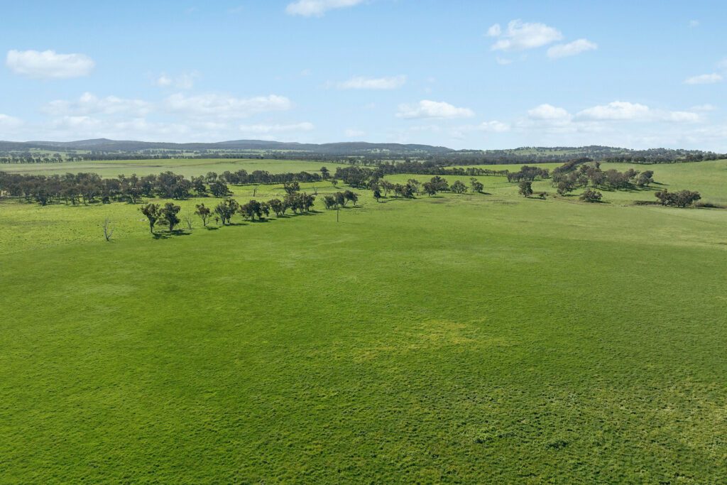 For Sale - 6294 Mitchell Highway - New Property in Molong - Real Estate by Scott Petersen