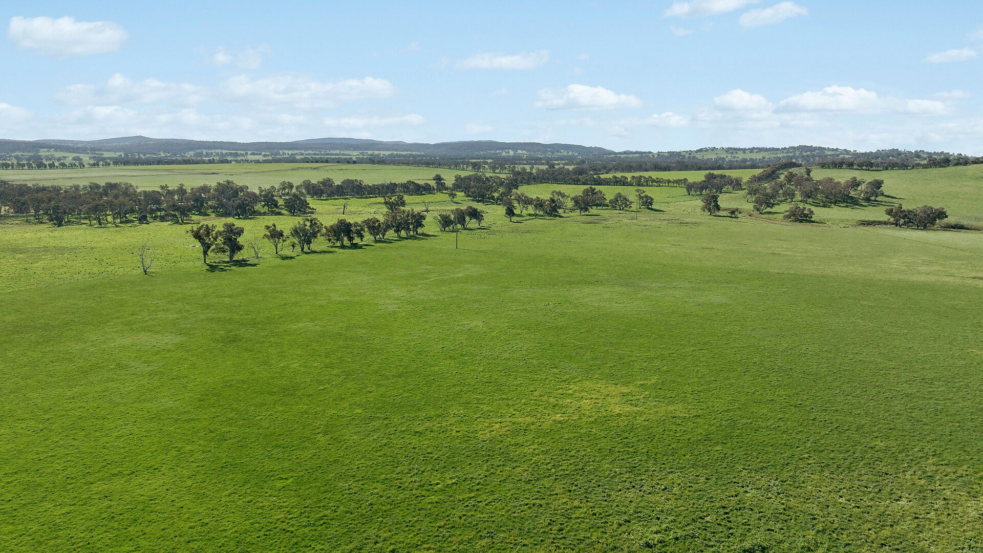 For Sale - 6294 Mitchell Highway - New Property in Molong - Real Estate by Scott Petersen