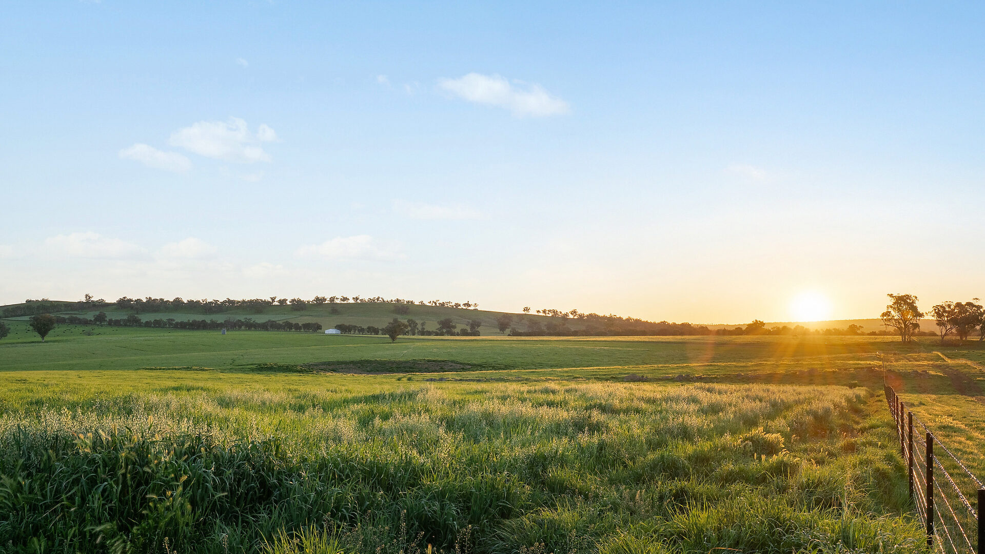 For Sale - 6294 Mitchell Highway - New Property in Molong - Real Estate by Scott Petersen