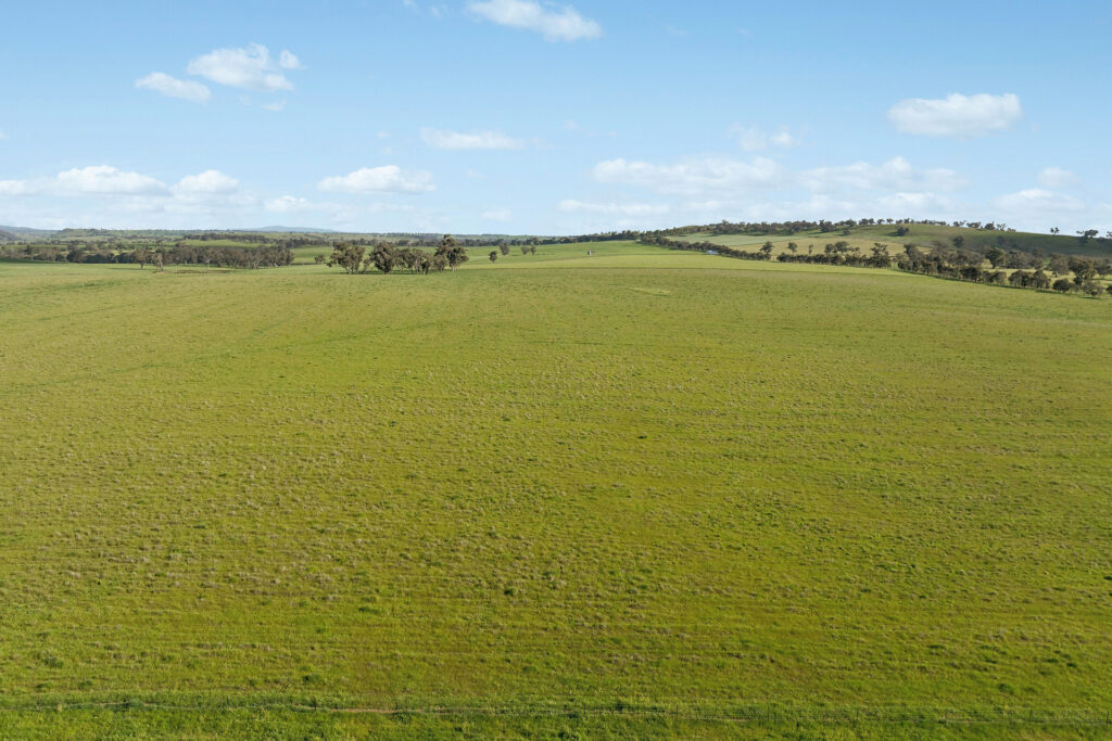 For Sale - 6294 Mitchell Highway - New Property in Molong - Real Estate by Scott Petersen