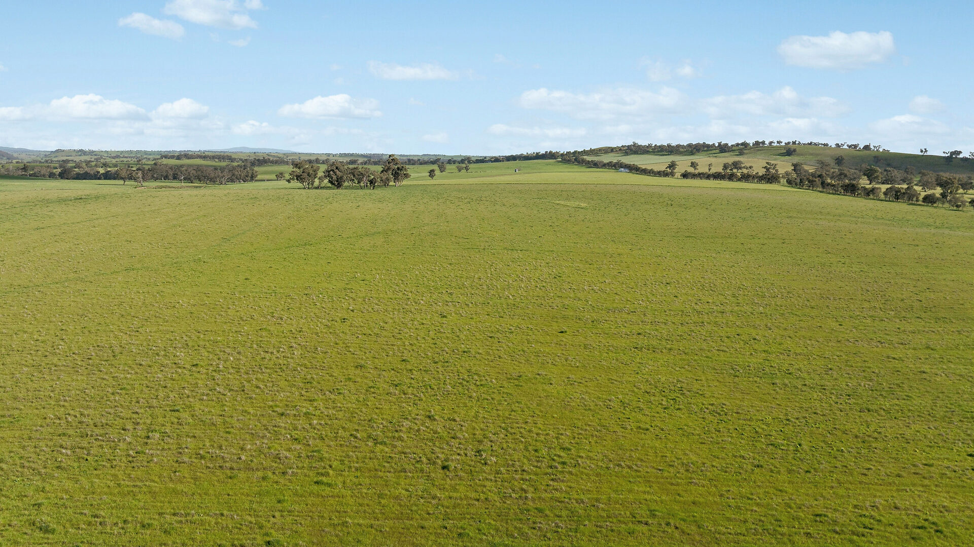 For Sale - 6294 Mitchell Highway - New Property in Molong - Real Estate by Scott Petersen