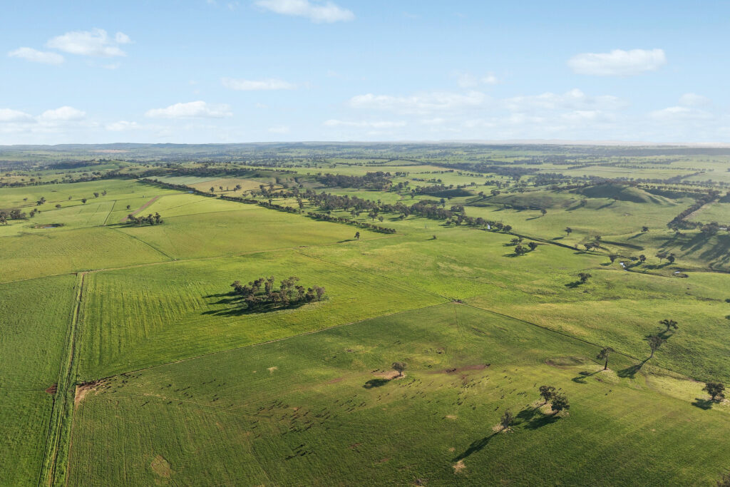 For Sale - 6294 Mitchell Highway - New Property in Molong - Real Estate by Scott Petersen