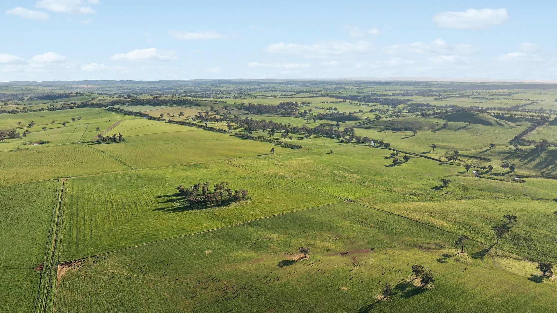 For Sale - 6294 Mitchell Highway - New Property in Molong - Real Estate by Scott Petersen