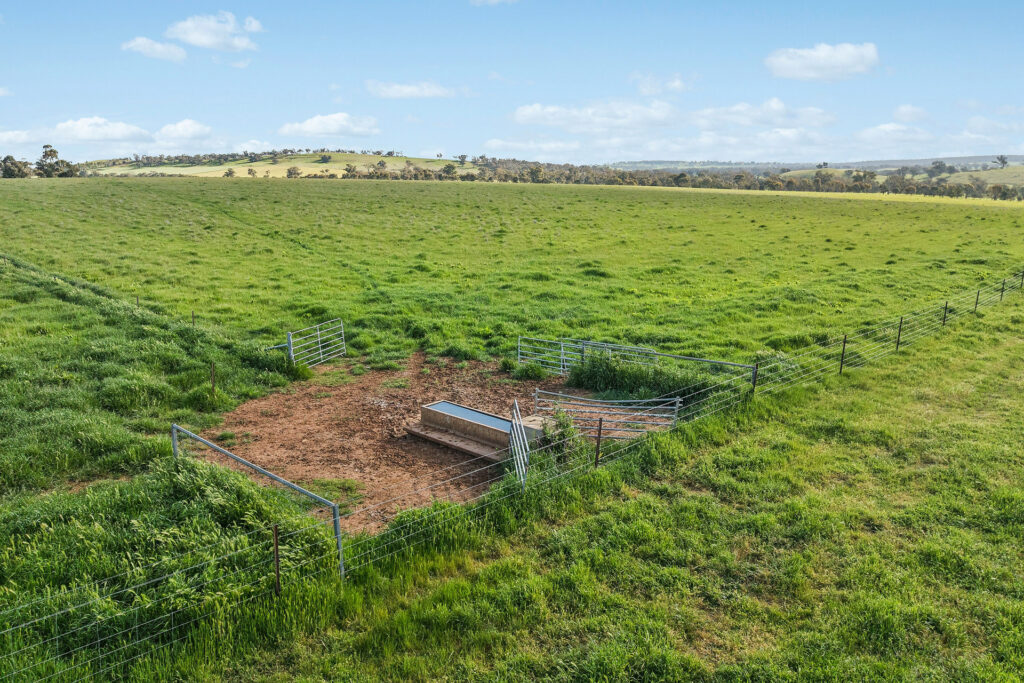 For Sale - 6294 Mitchell Highway - New Property in Molong - Real Estate by Scott Petersen
