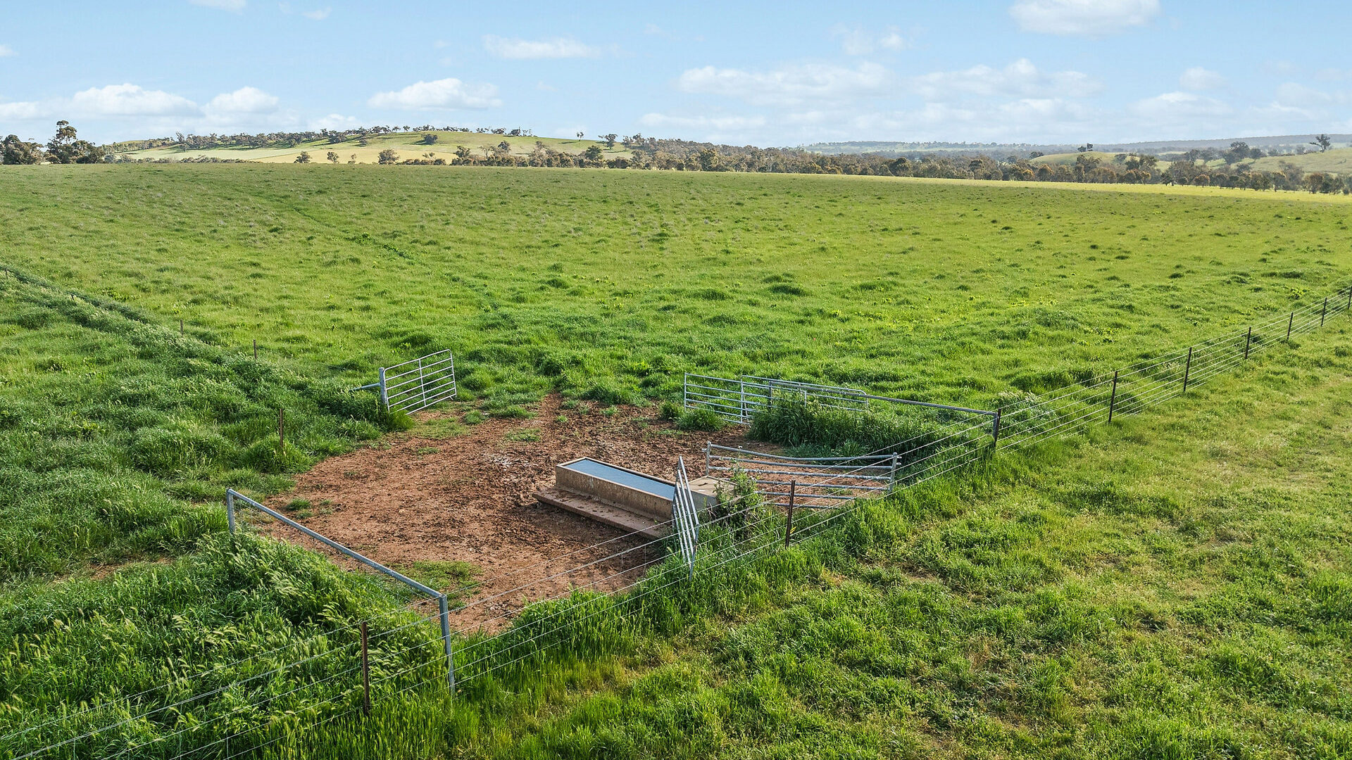 For Sale - 6294 Mitchell Highway - New Property in Molong - Real Estate by Scott Petersen