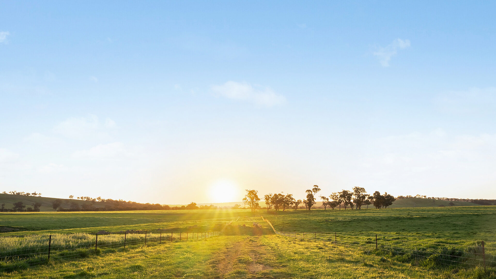 For Sale - 6294 Mitchell Highway - New Property in Molong - Real Estate by Scott Petersen