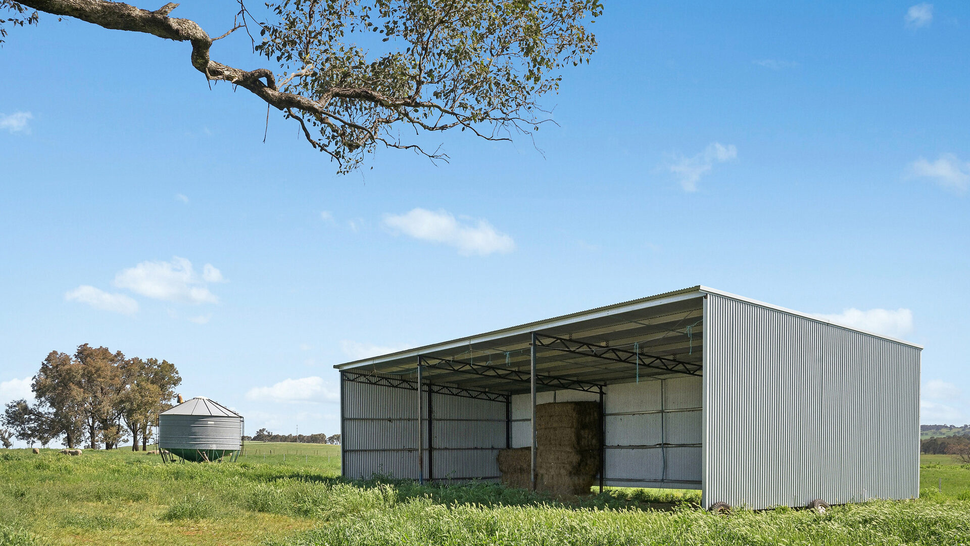 For Sale - 6294 Mitchell Highway - New Property in Molong - Real Estate by Scott Petersen