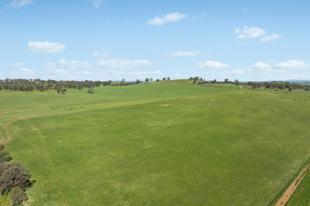 For Sale - 6294 Mitchell Highway - New Property in Molong - Real Estate by Scott Petersen