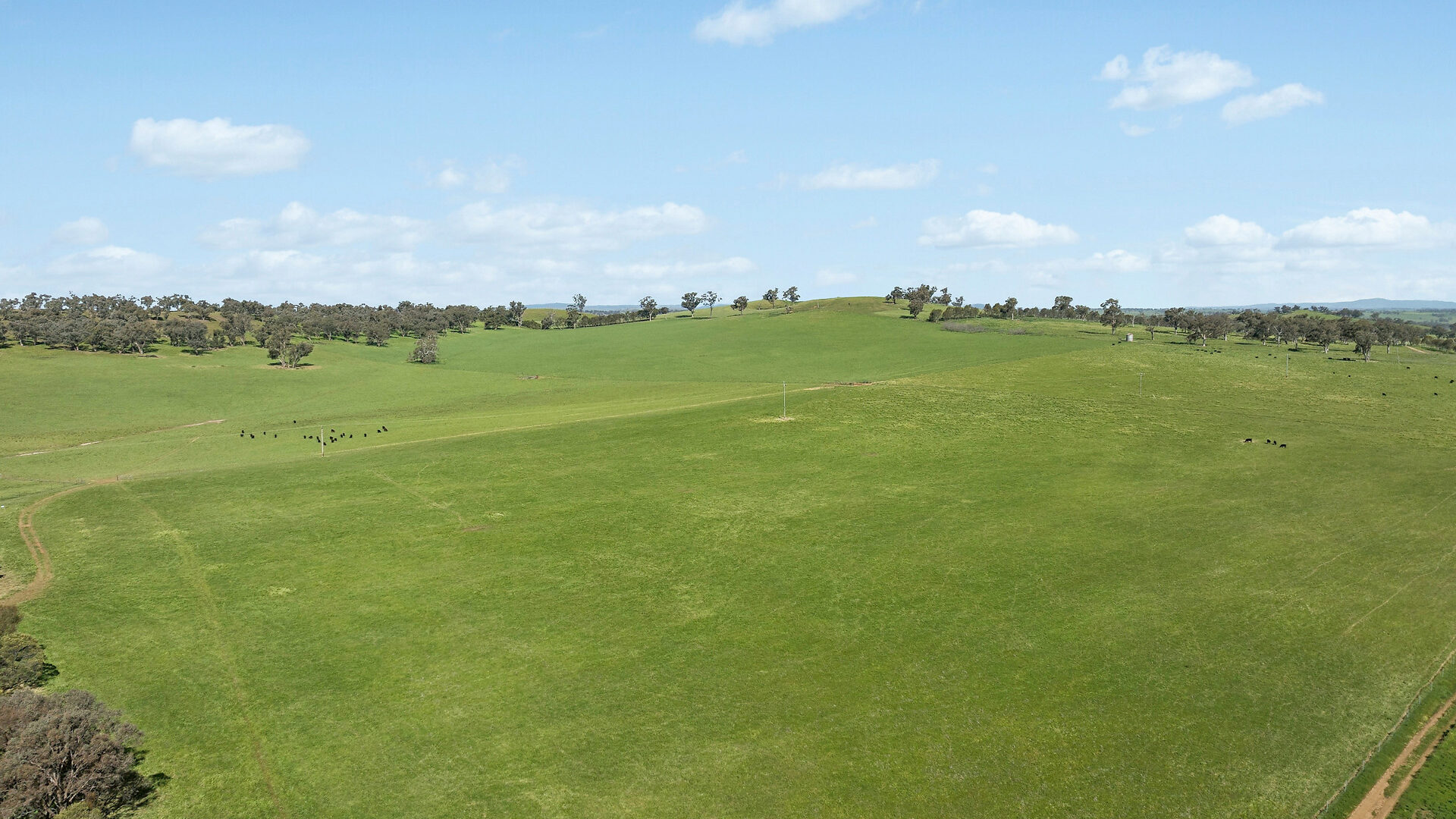 For Sale - 6294 Mitchell Highway - New Property in Molong - Real Estate by Scott Petersen