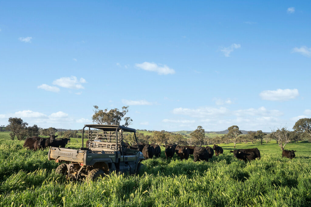 For Sale - 6294 Mitchell Highway - New Property in Molong - Real Estate by Scott Petersen