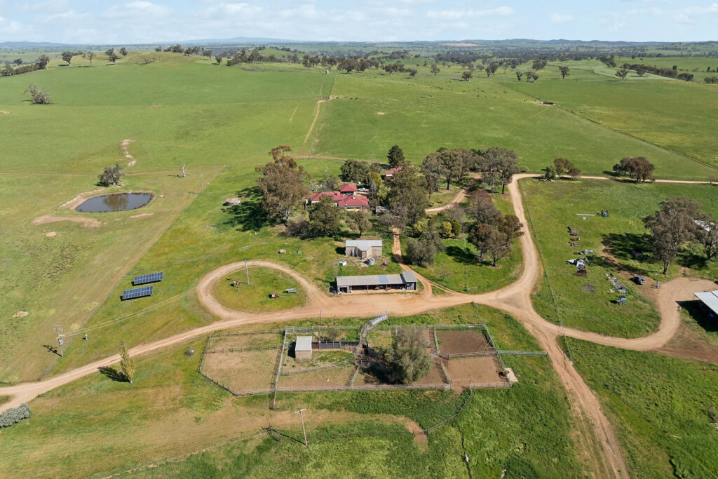 For Sale - 6294 Mitchell Highway - New Property in Molong - Real Estate by Scott Petersen
