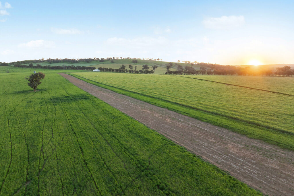 For Sale - 6294 Mitchell Highway - New Property in Molong - Real Estate by Scott Petersen