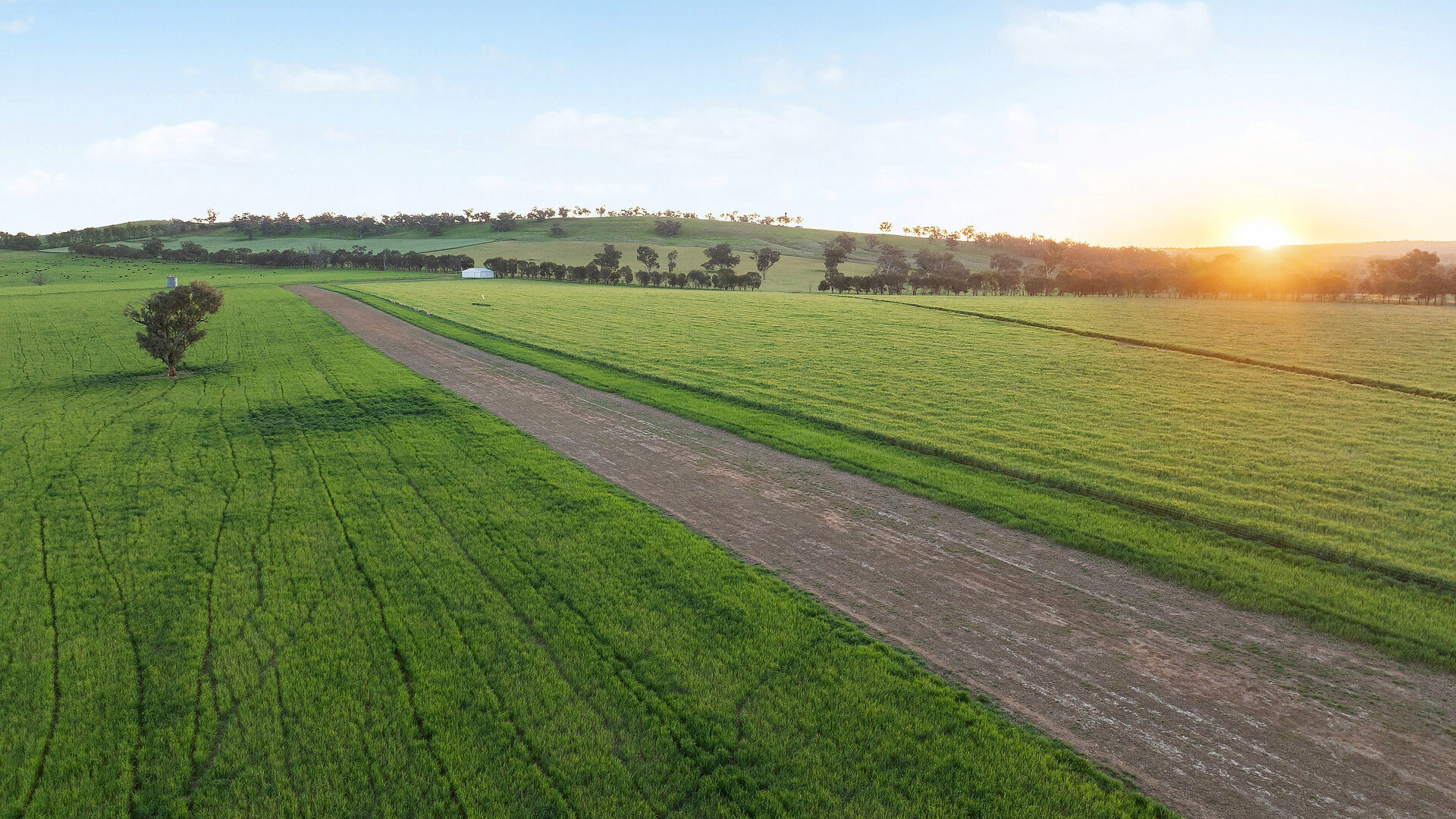 For Sale - 6294 Mitchell Highway - New Property in Molong - Real Estate by Scott Petersen