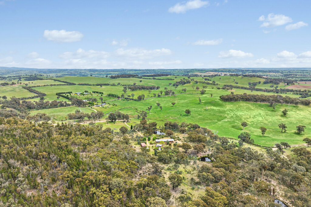 For Sale - 716 Belgravia Road - New Property in Orange - Real Estate by Scott Petersen