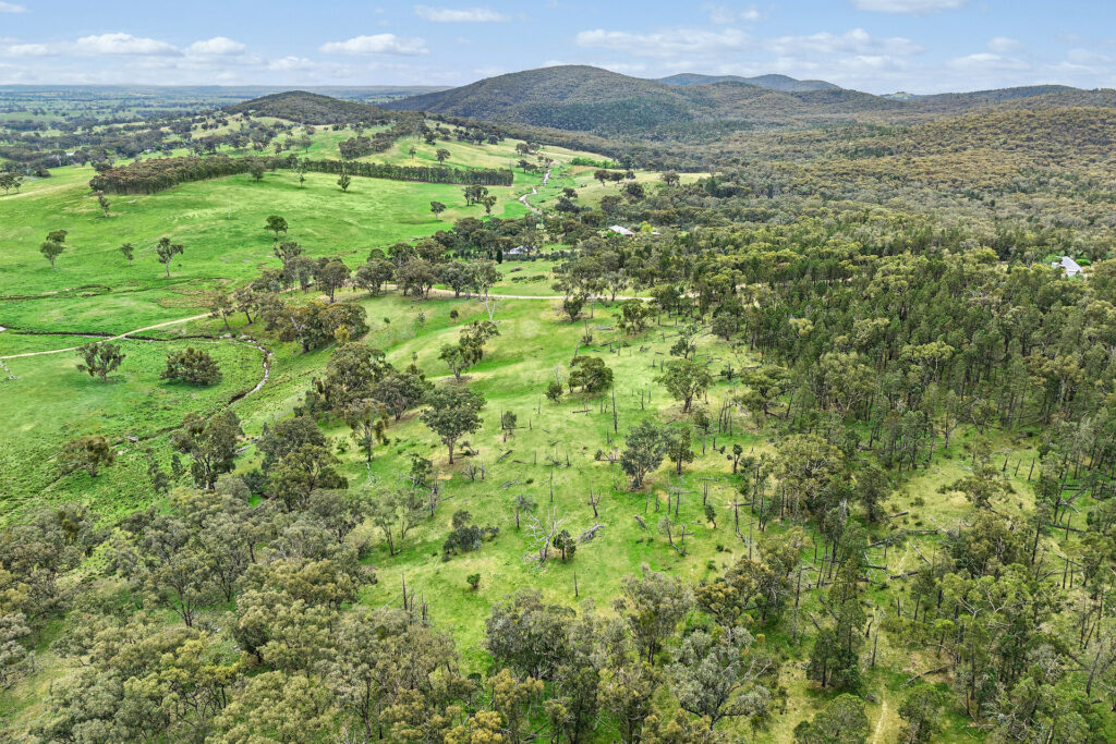 For Sale - 716 Belgravia Road - New Property in Orange - Real Estate by Scott Petersen