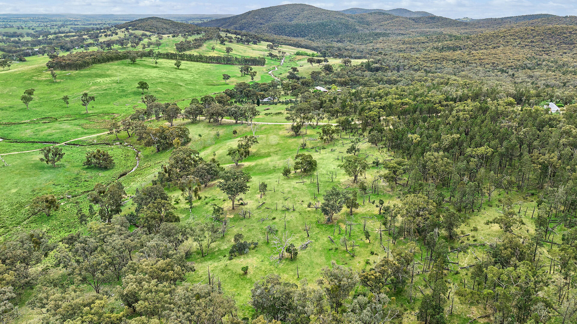 For Sale - 716 Belgravia Road - New Property in Orange - Real Estate by Scott Petersen