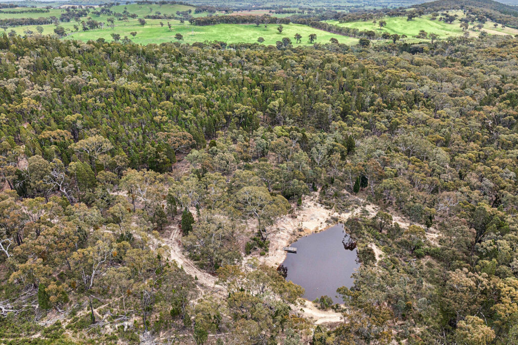 For Sale - 716 Belgravia Road - New Property in Orange - Real Estate by Scott Petersen