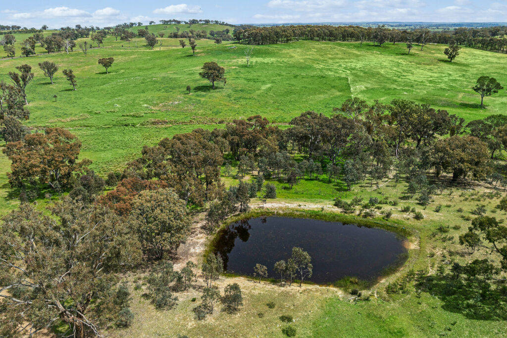 For Sale - 716 Belgravia Road - New Property in Orange - Real Estate by Scott Petersen