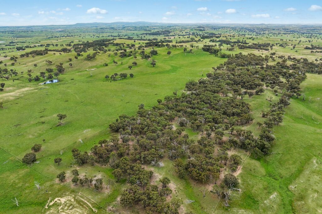For Sale - 1862 Euchareena Road - New Property in Molong - Real Estate by Scott Petersen