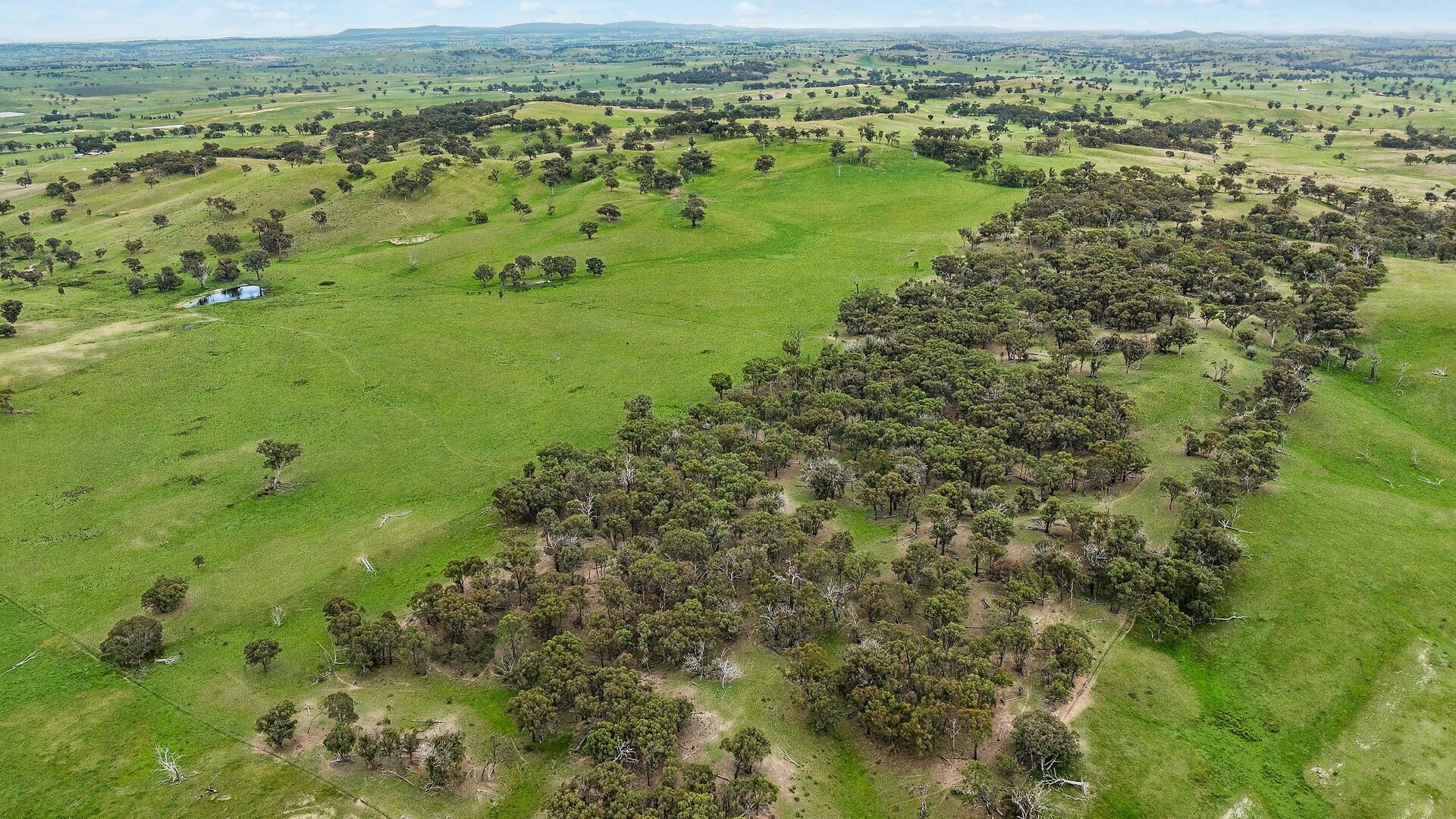 For Sale - 1862 Euchareena Road - New Property in Molong - Real Estate by Scott Petersen