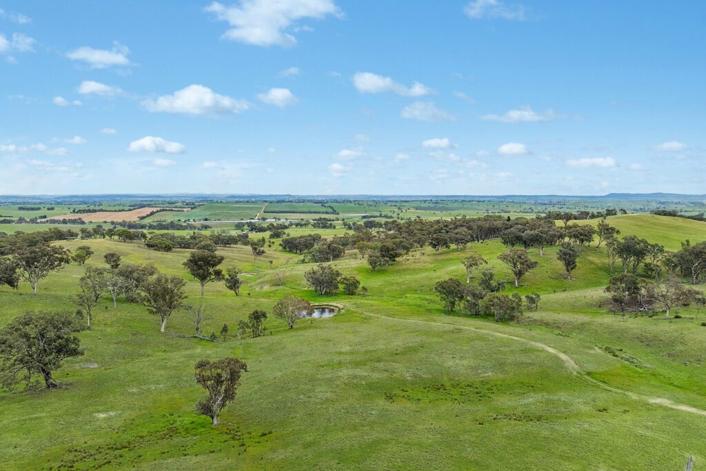 For Sale - 1862 Euchareena Road - New Property in Molong - Real Estate by Scott Petersen