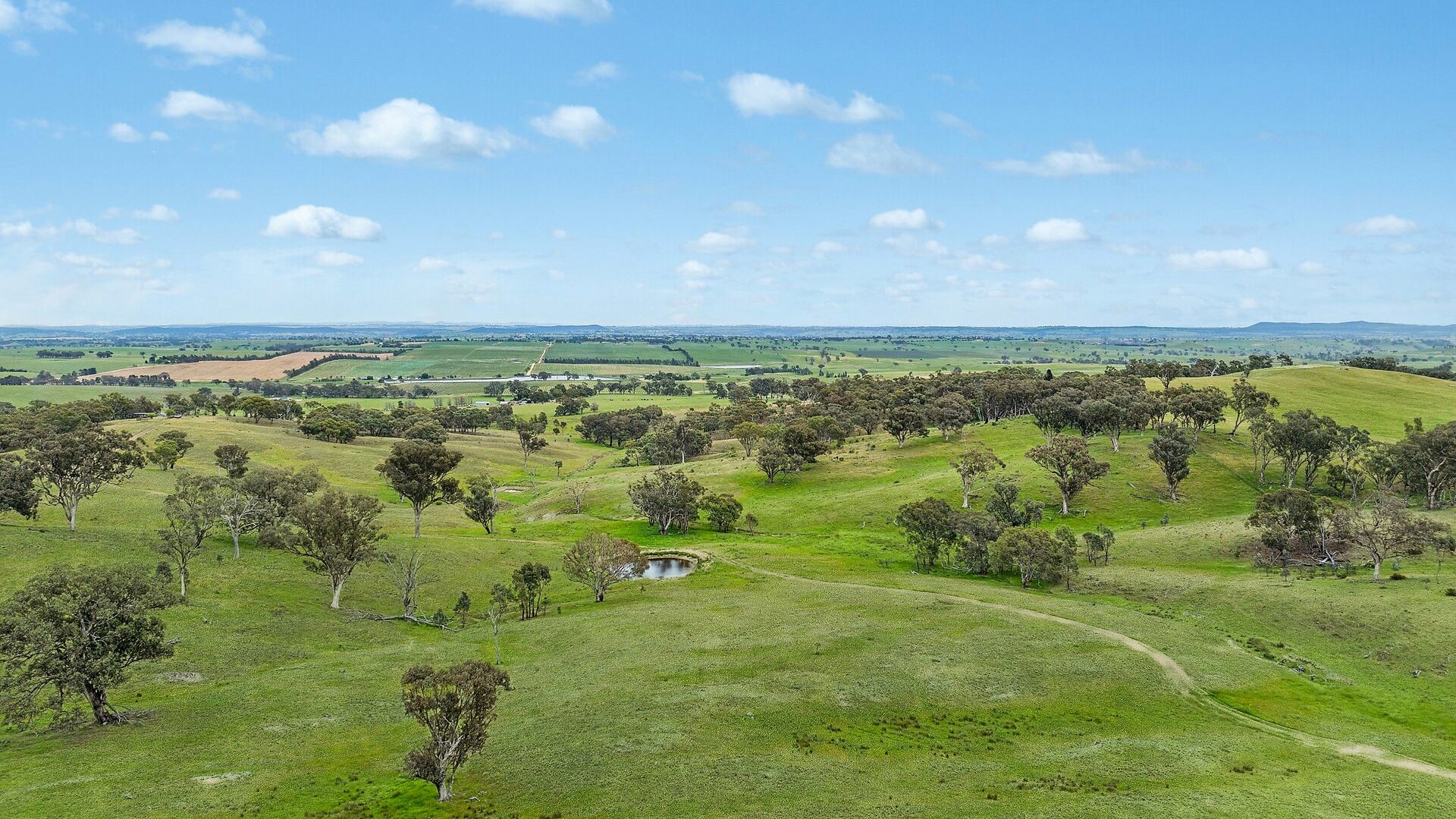 For Sale - 1862 Euchareena Road - New Property in Molong - Real Estate by Scott Petersen