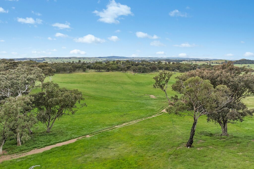 For Sale - 1862 Euchareena Road - New Property in Molong - Real Estate by Scott Petersen
