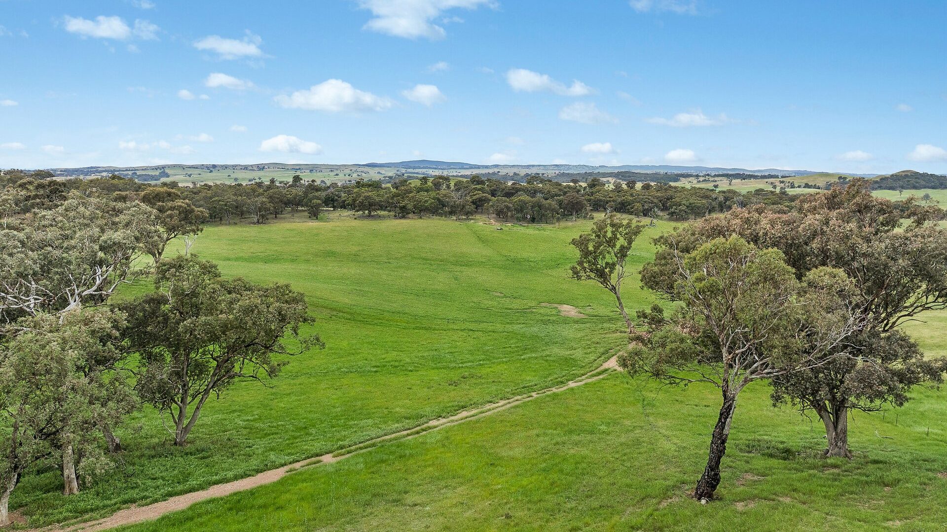 For Sale - 1862 Euchareena Road - New Property in Molong - Real Estate by Scott Petersen