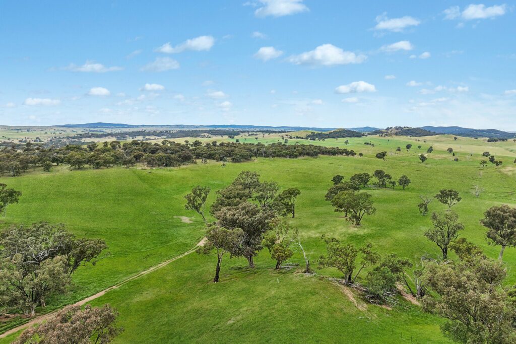 For Sale - 1862 Euchareena Road - New Property in Molong - Real Estate by Scott Petersen