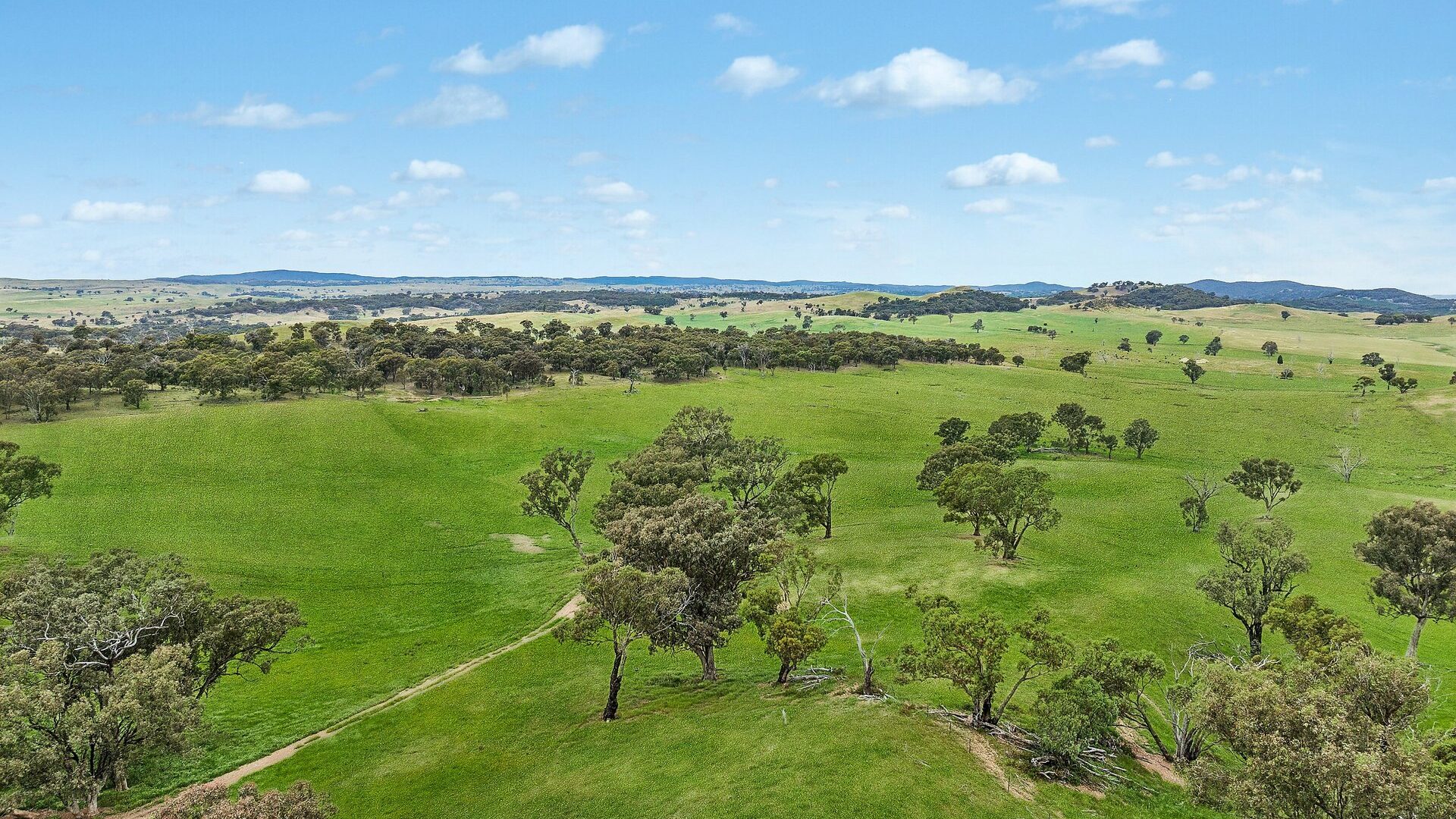 For Sale - 1862 Euchareena Road - New Property in Molong - Real Estate by Scott Petersen