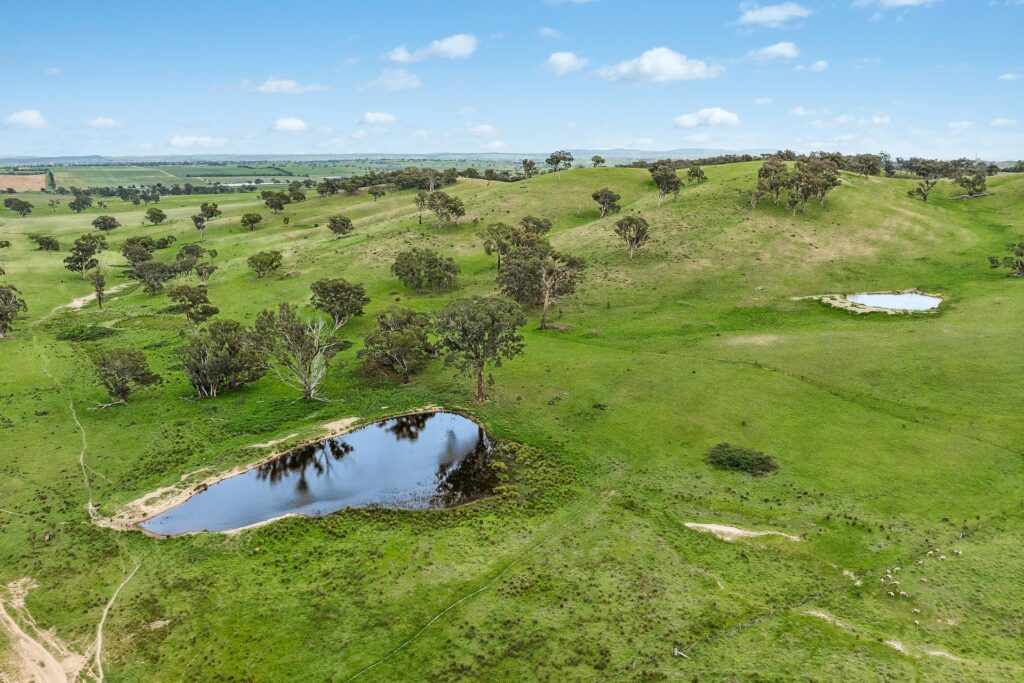 For Sale - 1862 Euchareena Road - New Property in Molong - Real Estate by Scott Petersen