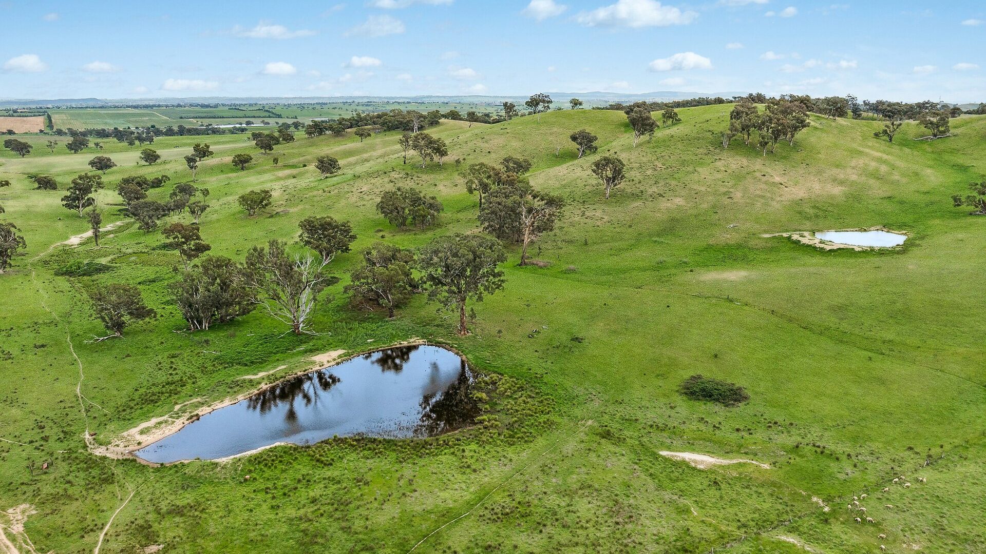 For Sale - 1862 Euchareena Road - New Property in Molong - Real Estate by Scott Petersen