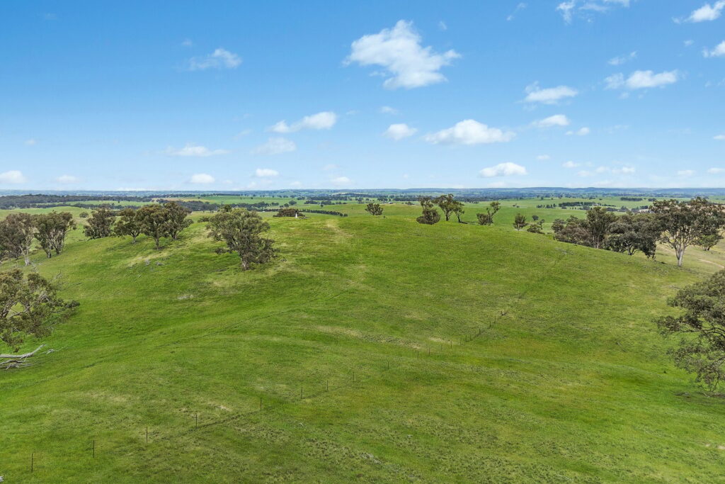 For Sale - 1862 Euchareena Road - New Property in Molong - Real Estate by Scott Petersen